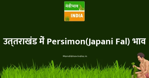 Persimon(Japani Fal) भाव